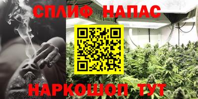 прущие крисы Заводоуковск